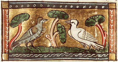 doves