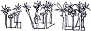 Palm