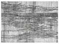 Horizons 2